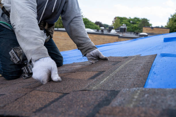 Best Storm Damage Roof Repair  in North Granby, CT